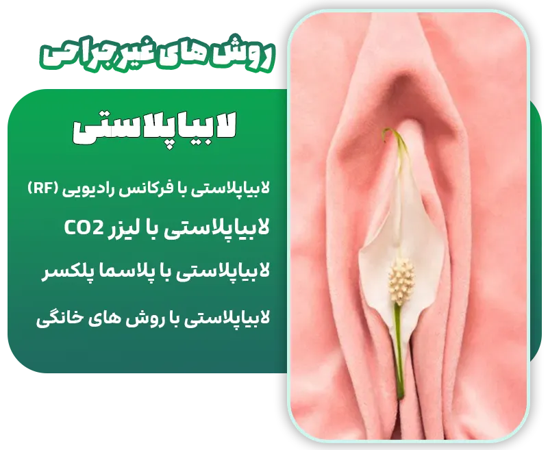 معرفی انواع روش های لابیاپلاستی