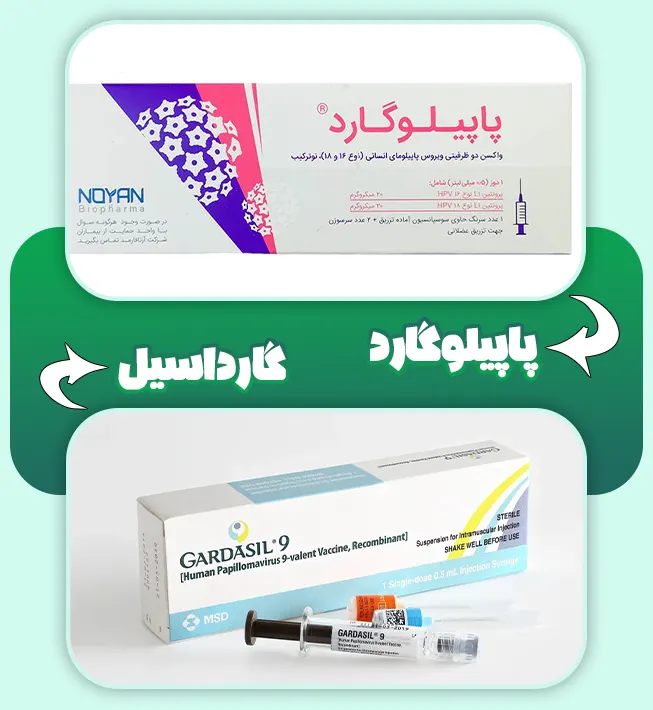 گارداسیل پاپیلوگارد 