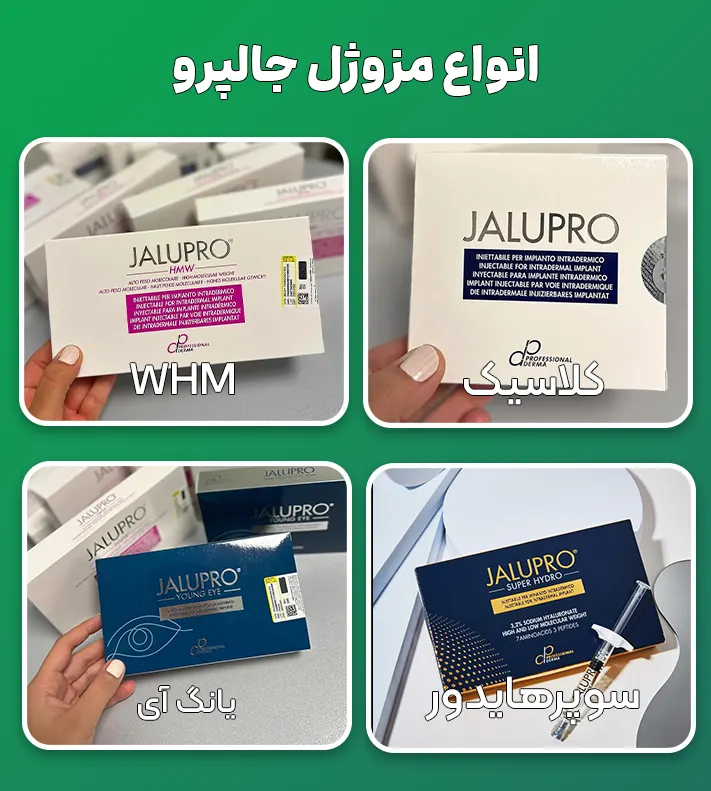 مزوژل جالپرو