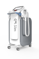 EMslim-e1740344260494.png